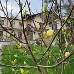 Appartamento Musik - In Historical , Baden bei Wien