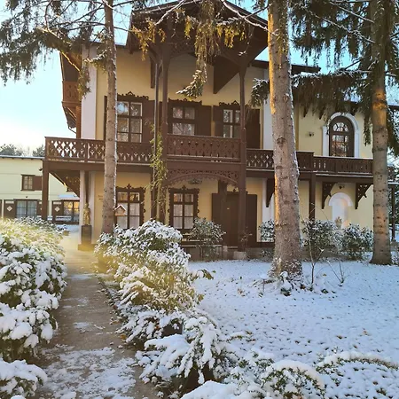 Daire Musik - In Historical ,