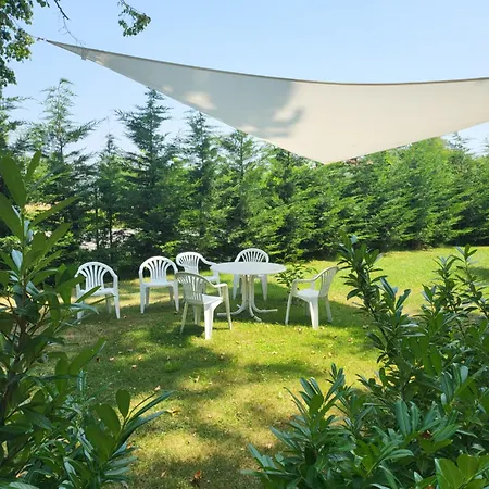 Musik - In Historical , Daire Baden