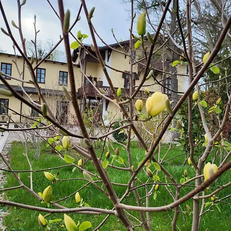 Apartment Musik - Historical In Baden