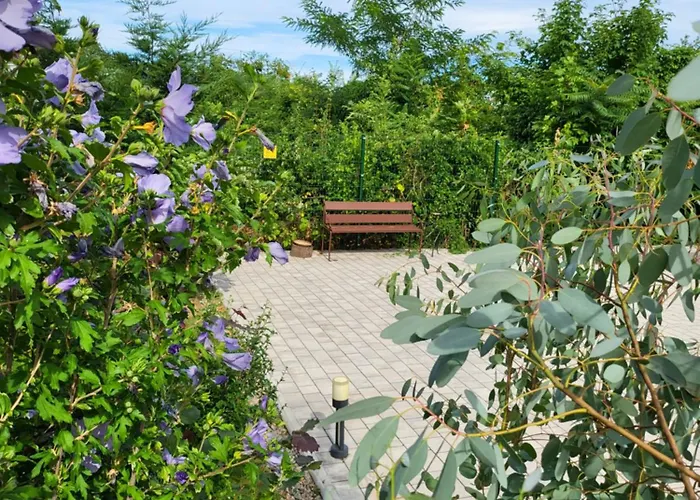Musik - In Historical , Appartement