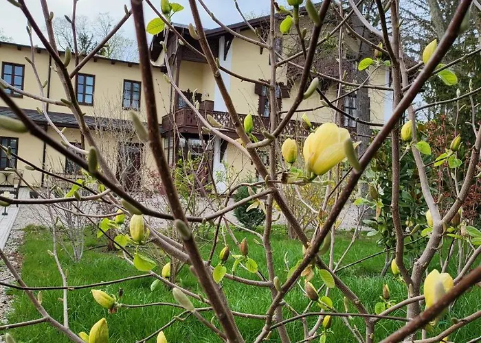 דירה Musik - In Historical , באדן